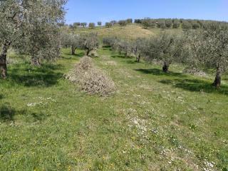 Antica Masseria Lo Conte - Ariano Irpino - 9