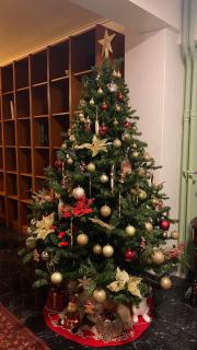 Sarakin's Mansion Luxury Retreat - 8