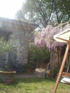 La Gabbianella e il Gatto - Castellabate - 4