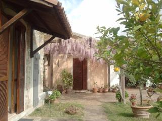 La Gabbianella e il Gatto - Castellabate - 6