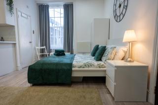 Beautiful Studio Flat in Hackney next to Overground Station - Londra - 7