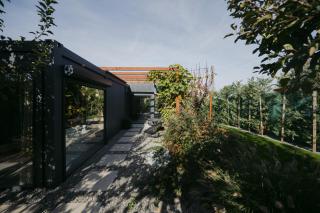 Felix Garden House - Sînmartin - 1