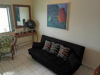 Apartmento Centro de São Vicente - 4