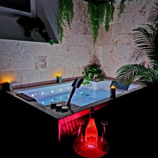 Evasion Tropicale Suite Jungle Room - Thiers - 1