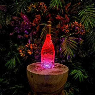 Evasion Tropicale Suite Jungle Room - Thiers - 2