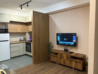 Anna's Apartment - Tbilisi - 9