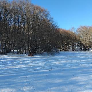 Le repos d'Aubrac - Laguiole - 1