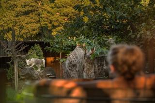 Les Animaux et Marino - Saint-Andiol - 0