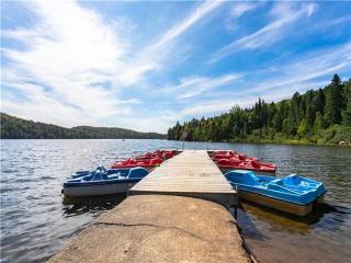 HiLDA'S NEST- ski Spa Nature - Sainte-Lucie-de-Doncaster - 5