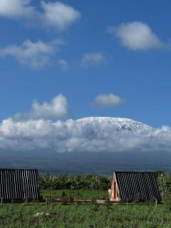 Camp David-Amboseli - Oloitokitok - 7
