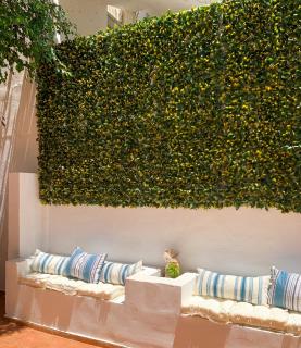 The Sea & Garden studio 4 - Agia Pelagia - 5