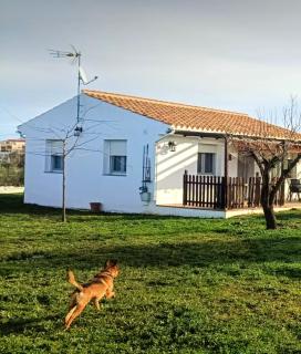 Casa de Campo Los Manueles Ideal Perros Pet Friendly - Gójar - 1