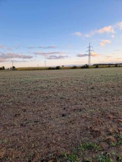 Cosy guesthouse outside Kristianstad - 2