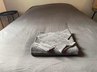 Studio Hôtel Villeurbanne Centre - Villeurbanne - 9