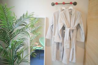 Popart Insolite Jacuzzi,Sauna & SPA Parking free - Mulhouse - 4