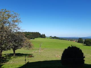 Prassberger Urlaub auf dem Bauernhof - Bernau am Chiemsee - 4