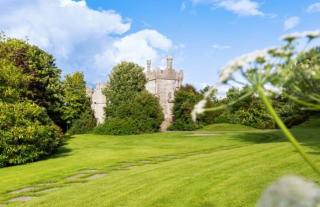 Moyvannan Castle on 7 Acres - Roscommon - 3