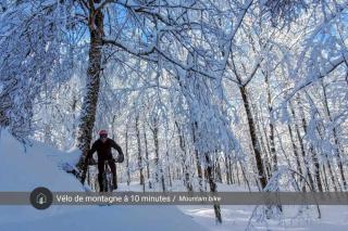 Le 14 Chalets Howard - Spa-Shower-Hammock-Bromont - 7