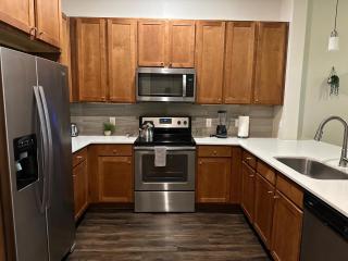 Luxury cozy 1bdapt downtownview - Houston - 5