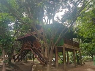 apto cabaña - Palomino - 0