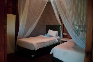 Mountain Wildlife Sanctuary Camp - 9