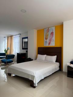 Hotel Catalina Plaza Pereira - Pereira - 9