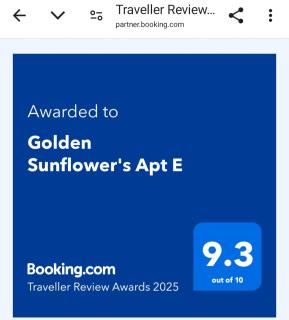Golden Sunflower's Apt E - Lawton - 9