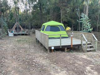Glamping Eluney Bucalemu - 3