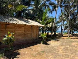 Coconut Bar - Bentota - 9