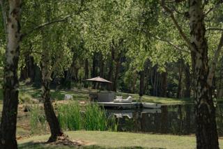 Winifred - Red Hill South - 2