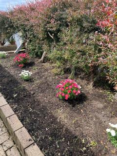 3 bdm Central Albany House - 2