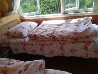 GuestHouse Ellie- Elisabeth - Adishi - 6