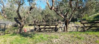Agriturismo Cele - Celle Ligure - 0