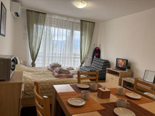 Фамилно студио Alex&Marry Аспен Резорт Банско - Bansko - 1