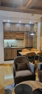 Zlatibor apartman centar - Zlatibor - 2