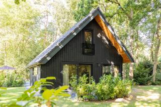 midden in de bossen bij schapendrift 29 - Appelscha - 5