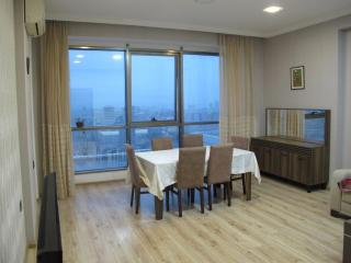 Spacious Downtown Baku Apartment - Baku - 0