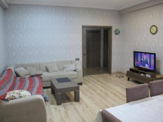 Spacious Downtown Baku Apartment - Baku - 2