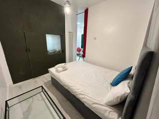 Nice 2 bedroom flat Wembley - Londra - 6