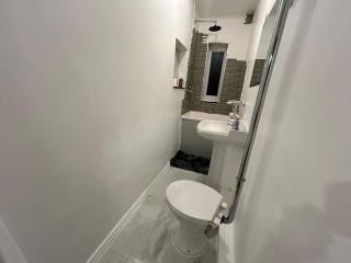Nice 2 bedroom flat Wembley - Londra - 4