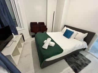 Nice 2 bedroom flat Wembley - Londra - 0