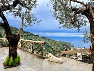 The wind rose - SantʼAgata sui Due Golfi - 0
