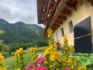 Alpen Appartements Oberlehengut - Werfenweng - 6