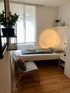 No2 TOP Apartment4YOU - 3 Zimmer, 1-6 Pers, Saarbrücken - Jägersfreude Saarbruecken - 1