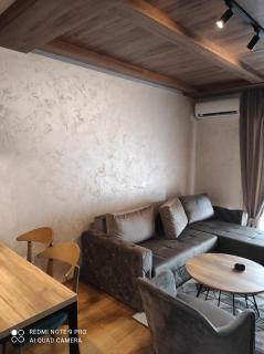 Zlatibor apartman centar - Zlatibor - 4