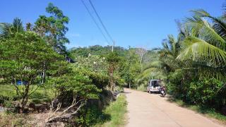 TinyHouse at TigerCave - - 3