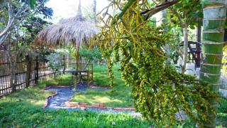 TinyHouse at TigerCave - - 1