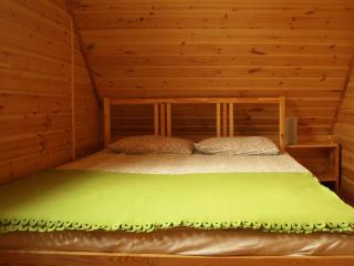Authentic Holiday Home in Kopalino with Fireplace - Kopalino - 8
