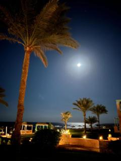 Villa Shams El Bahr - 8