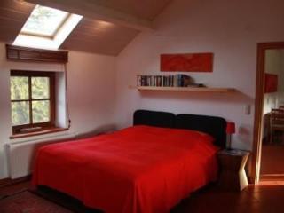 Tolles Appartement In Bleyberg Mit Garten - Plombières - 9